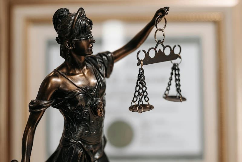 Mancini Law Group P.C.
