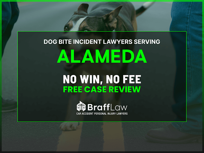 Braff Law Car Accident Personal Injury Lawyers